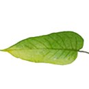 상남동127 이미지