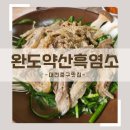 완도약산흑염소 | [대전맛집] 중구 용두동 여름철 보양식추천 완도약산흑염소; 흑염소전골, 수육, 탕 효능 내돈내산후기