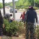 선부1동 주민센터 이미지