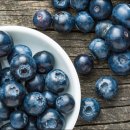 블루베리 앞 이미지