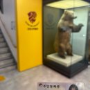 덥지않다..(구라)