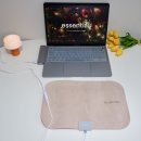 히트플라워 | 1인 전기방석 추천 USB 온열패드 휴대용 엉뜨 블루필 히트롤 사용 후기