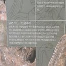 능산리고분군전시관 이미지