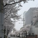 #28 머리하기 좋은날
