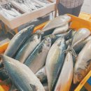 전통돔베기 이미지