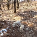 태평농장 이미지