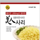 사리