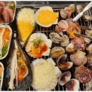 오아시스조개 이미지