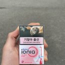 레종 이오니아 아일랜드핑크 담배 후기/RAISON IONIA ISLAND PINK