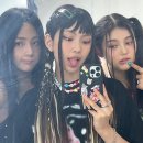 지니가좋아하는케이스
