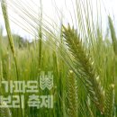 하모리-21 이미지