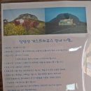 제주도조용한게스트하우스산방산 이미지