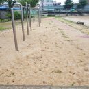파주초교(병설) 네이버블로그