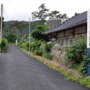 진도 솔마루미술관 이미지