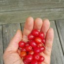 나그네민박 이미지