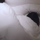 NS헤어스튜디오 하퍼스바자 코리아