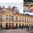 팀승전보 이미지