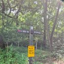 2025년 36번째 산행. 창원 정병산 (250824)