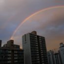 산본중앙공원 이미지