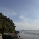 콰이 - 강남구 도산대로25길 16 | 경상남도 창원시 용두산, 콰이강의 다리 방문 후기