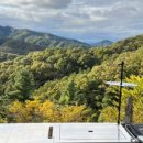 가보자순대국 옆 이미지