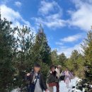 솔오름 펜션 | 제주 여행10. 서귀포와 한라산을 한눈에, 제주 솔오름 전망대 초보자도 쉬운 등반 코스 후기, 가볼만 한 곳