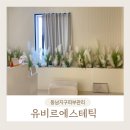 청에스테틱 이미지