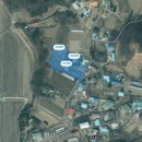 은지리(채동) 네이버블로그