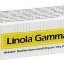 감마약국 이미지