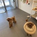 메이그루밍 이미지