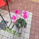 용산파트너공인중개사사무소 | 용산 목련 카페 피요르드 달콤한 마시멜로 라떼