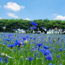 추동목장 이미지