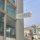 커스티(custty) 이미지