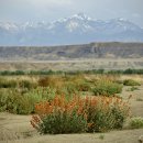 초록은 없어도, 자연은 자연이다~ / 다 이미지