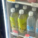 11305-17-251-4 | 2025. 06. 14-17. 3박4일 도쿄여행 두 번째 with리미