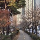 안동대장금찜닭 이미지