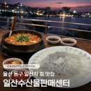 수산물회센터 1층 | [울산/동구] 일산지 횟집 일산수산물판매센터, 노을 보며 먹는 야장 회 맛집 후기