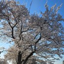 구림보건지소 이미지