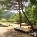 주천강강변자연휴양림 이미지