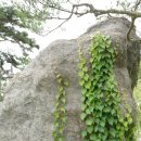 솔하우스&갤러리 이미지