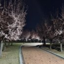 삼성현역사문화공원 이미지