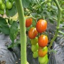 삼방슈퍼 이미지