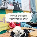 안전횟집 | 태안 만리포 맛집 너울횟집 애견동반 해물칼국수 솔직후기