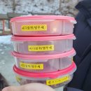 청성농장 | [평창 아이와 가볼만한곳] 먹이주기 체험 가득! '우루루 동물농장' 방문 후기