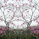 진영공설운동장 화장실 이미지