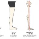 프로 팰리스 짐 이미지