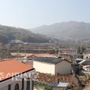풍기장수인삼마을 이미지