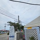 자작도 하우스 이미지