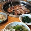 고방찬 볼케이돈 이미지