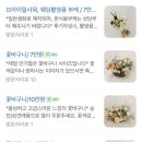 플라젠트 이미지